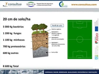 20 cm de solo/ha
5 000 Kg bactérias
1 200 kg fungos
1 100 kg minhocas
700 kg protozoários
600 kg outros
8 600 kg Total
 