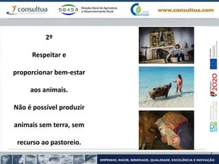 2º
Respeitar e
proporcionar bem-estar
aos animais.
Não é possível produzir
animais sem terra, sem
recurso ao pastoreio.
 