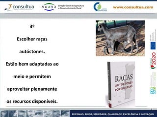 3º
Escolher raças
autóctones.
Estão bem adaptadas ao
meio e permitem
aproveitar plenamente
os recursos disponíveis.
 