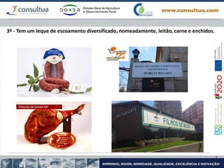 3º - Tem um leque de escoamento diversificado, nomeadamente, leitão, carne e enchidos.
 