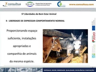 4 - LIBERDADE DE EXPRESSAR COMPORTAMENTO NORMAL
Proporcionando espaço
suficiente, instalações
apropriadas e
companhia de animais
da mesma espécie.
5º Liberdades do Bem Estar Animal
 
