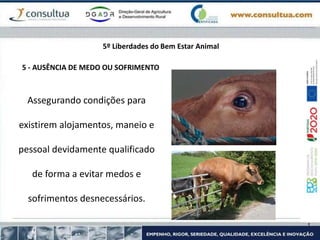 5 - AUSÊNCIA DE MEDO OU SOFRIMENTO
Assegurando condições para
existirem alojamentos, maneio e
pessoal devidamente qualificado
de forma a evitar medos e
sofrimentos desnecessários.
5º Liberdades do Bem Estar Animal
 