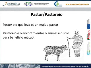 Pastor é o que leva os animais a pastar
Pastoreio é o encontro entre o animal e o solo
para benefício mútuo.
Pastor/Pastoreio
 