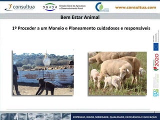 1º Proceder a um Maneio e Planeamento cuidadosos e responsáveis
Bem Estar Animal
 