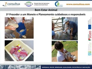 Bem Estar Animal
1º Proceder a um Maneio e Planeamento cuidadosos e responsáveis
 