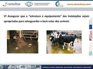 3º Assegurar que a “estrutura e equipamento” das instalações sejam
apropriadas para salvaguardar o bem-estar dos animais
 