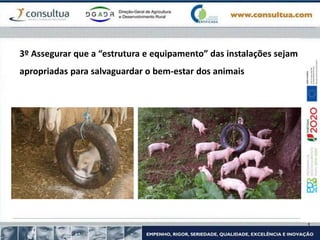 3º Assegurar que a “estrutura e equipamento” das instalações sejam
apropriadas para salvaguardar o bem-estar dos animais
 