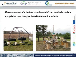 3º Assegurar que a “estrutura e equipamento” das instalações sejam
apropriadas para salvaguardar o bem-estar dos animais
 