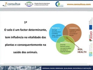1º
O solo é um factor determinante,
tem influência na vitalidade das
plantas e consequentemente na
saúde dos animais.
 
