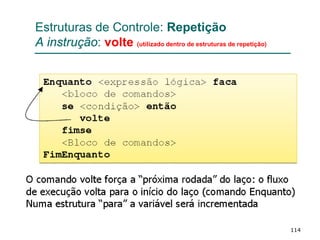 114
Estruturas de Controle: Repetição
A instrução: volte (utilizado dentro de estruturas de repetição)
 
