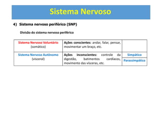 Sistema Nervoso
4) Sistema nervoso periférico (SNP)
Divisão do sistema nervoso periférico
Sistema Nervoso Voluntário
(somático)
Ações conscientes: andar, falar, pensar,
movimentar um braço, etc.
Sistema Nervoso Autônomo
(visceral)
Ações inconscientes: controle da
digestão, batimentos cardíacos,
movimento das vísceras, etc.
Simpático
Parassimpático
 
