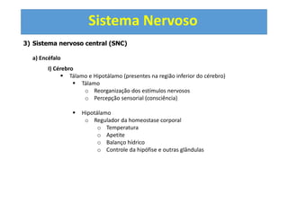 Sistema Nervoso
3) Sistema nervoso central (SNC)
a) Encéfalo
I) Cérebro
Tálamo e Hipotálamo (presentes na região inferior do cérebro)
Tálamo
o Reorganização dos estímulos nervosos
o Percepção sensorial (consciência)
Hipotálamo
o Regulador da homeostase corporal
o Temperatura
o Apetite
o Balanço hídrico
o Controle da hipófise e outras glândulas
 