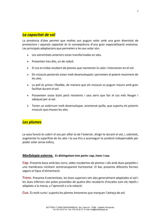 3




La capacitat de vol
La presència d’ales permet que moltes aus puguin volar amb una gran diversitat de
prestacions i aquesta capacitat és la conseqüència d’una gran especialització evolutiva.
Les principals adaptacions que permeten a les aus volar són:

        Les extremitats anteriors estan transformades en ales.

        Presenten tres dits, un de reduït.

        El cos es troba recobert de plomes que mantenen la calor i intervenen en el vol.

        Els músculs pectorals estan molt desenvolupats i permeten el potent moviment de
        les ales.

        La pell és prima i flexible, de manera que els músculs es puguin moure amb gran
        facilitat durant el vol.

        Posseeixen ossos buits però resistents i sacs aeris que fan el cos més lleuger i
        adequat per al vol.

        Tenen un estèrnum molt desenvolupat, anomenat quilla, que suporta els potents
        músculs que mouen les ales.



Les plomes

La seva funció és cobrir el cos per aïllar-lo de l’exterior, dirigir-lo durant el vol, i, sobretot,
augmentar la superfície de les ales i la cua fins a aconseguir la condició indispensable per
poder volar sense esforç.



Morfologia externa. Es distingeixen tres parts: cap, tronc i cua.
Cap. Presenta boca amb bec corni, oïdes recobertes de plomes i ulls amb dues parpelles i
una membrana nictitant semitransparent horitzontal. El bec presenta diferents formes
segons el tipus d’alimentació

Tronc. Presenta 4 extremitats, les dues superiors són ales generalment adaptades al vol i
les dues inferiors són potes proveïdes de quatre dits recoberts d’escates com els rèptils i
adaptats a la marxa, a l’aprensió o a la natació.

Cua. És molt curta i suporta les plomes timoneres que marquen l’adreça de vol.


                    BUTTERFLY PARK EMPURIABRAVA Sta. Clara s/n. 17486 - Castelló d’Empúries.
                          Tel. 972 45 07 61. Fax. 972 45 20 37. E-mail: info@butterflypark.es
 