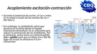 introduccic3b3n-a-la-funcic3b3n-cardiovascular-uti.pdf