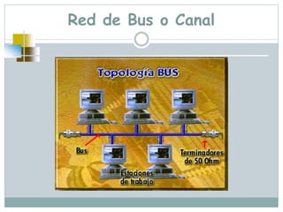 Red de Bus o Canal
 