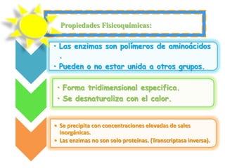 Propiedades Fisicoquímicas:

• Las enzimas son polímeros de aminoácidos
  .
• Pueden o no estar unida a otros grupos.

 • Forma tridimensional especifica.
 • Se desnaturaliza con el calor.


• Se precipita con concentraciones elevadas de sales
  inorgánicas.
• Las enzimas no son solo proteínas. (Transcriptasa inversa).
 