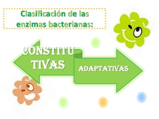 Clasificación de las
enzimas bacterianas:


 Constitu
  tivas         Adaptativas
 