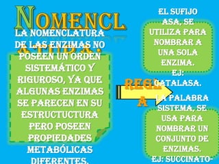 El sufijo
                       ASA, se
La nomenclatura     utiliza para
de las enzimas no    nombrar a
                      una sola
 poseen un orden
                       enzima.
  sistemático y          Ej:
riguroso, ya que     Catalasa.
algunas enzimas
                     La palabra
se parecen en su     SISTEMA, se
 estructuctura        usa para
   pero poseen       nombrar un
   propiedades       conjunto de
  metabólicas          enzimas.
                    Ej: Succinato-
 