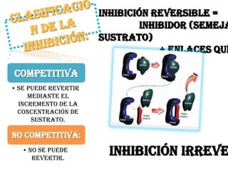 Competitiva
• Se puede revertir
     mediante el
  incremento de la
  concentración de
      sustrato.

No competitiva:
   • No se puede
      revertir.
                      Inhibición irreve
 