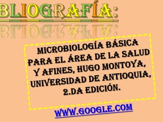 Introducción al metabolismo 