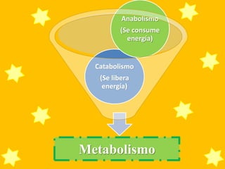 Anabolismo
         (Se consume
           energía)


  Catabolismo
   (Se libera
    energía)




Metabolismo
 