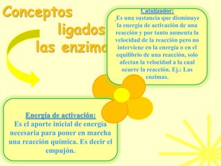 Conceptos                 Catalizador:
                Es una sustancia que disminuye

       ligados a y por tanto aumenta la
                la energía de activación de una
               reacción

    las enzimas: de unaenergía o en el
               velocidad de la reacción pero no
                interviene en la
                equilibrio        reacción, solo
                                     afectan la velocidad a la cual
                                      ocurre la reacción. Ej.: Las
                                                enzimas.




      Energía de activación:
  Es el aporte inicial de energía
 necesaria para poner en marcha
 una reacción química. Es decir el
            empujón.
 