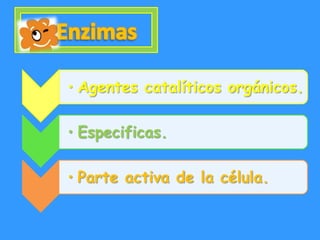 • Agentes catalíticos orgánicos.

• Especificas.

• Parte activa de la célula.
 