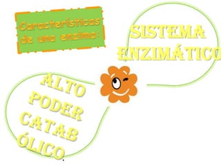Sistema
Enzimático
 