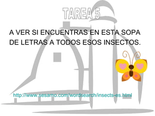A VER SI ENCUENTRAS EN ESTA SOPA DE LETRAS A TODOS ESOS INSECTOS. http://www.sesamo.com/wordsearch/insects-es.html TAREA 5 