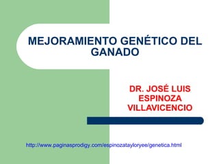 MEJORAMIENTO GENÉTICO DEL GANADO DR. JOSÉ LUIS ESPINOZA VILLAVICENCIO http://www.paginasprodigy.com/espinozatayloryee/genetica.html 