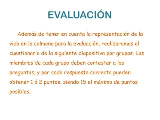 EVALUACIÓN
   Además de tener en cuenta la representación de la
vida en la colmena para la evaluación, realizaremos el
cuestionario de la siguiente diapositiva por grupos. Los
miembros de cada grupo deben contestar a las
preguntas, y por cada respuesta correcta pueden
obtener 1 ó 2 puntos, siendo 15 el máximo de puntos
posibles.
 