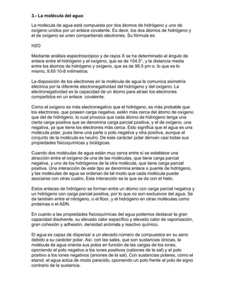 3.- La molécula del agua:

La molécula de agua está compuesta por dos átomos de hidrógeno y uno de
oxígeno unidos por un enlace covalente. Es decir, los dos átomos de hidrógeno y
el de oxígeno se unen compartiendo electrones. Su fórmula es:

H2O

Mediante análisis espectroscópico y de rayos X se ha determinado el ángulo de
enlace entre el hidrógeno y el oxígeno, que es de 104.5°, y la distancia media
entre los átomos de hidrógeno y oxígeno, que es de 96.5 pm o, lo que es lo
mismo, 9.65·10-8 milímetros.

La disposición de los electrones en la molécula de agua le comunica asimetría
eléctrica por la diferente electronegatividad del hidrógeno y del oxígeno. La
electronegatividad es la capacidad de un átomo para atraer los electrones
compartidos en un enlace covalente.

Como el oxígeno es más electronegativo que el hidrógeno, es más probable que
los electrones, que poseen carga negativa, estén más cerca del átomo de oxígeno
que del de hidrógeno, lo cual provoca que cada átomo de hidrógeno tenga una
cierta carga positiva que se denomina carga parcial positiva, y el de oxígeno, una
negativa, ya que tiene los electrones más cerca. Esto significa que el agua es una
molécula polar, pues tiene una parte o polo negativa y otra positiva, aunque el
conjunto de la molécula es neutro. De este carácter polar derivan casi todas sus
propiedades fisicoquímicas y biológicas.

Cuando dos moléculas de agua están muy cerca entre sí se establece una
atracción entre el oxígeno de una de las moléculas, que tiene carga parcial
negativa, y uno de los hidrógenos de la otra molécula, que tiene carga parcial
positiva. Una interacción de este tipo se denomina enlace o puente de hidrógeno,
y las moléculas de agua se ordenan de tal modo que cada molécula puede
asociarse con otras cuatro. Esta interacción es la que se da con el hielo.

Estos enlaces de hidrógeno se forman entre un átomo con carga parcial negativa y
un hidrógeno con carga parcial positiva, por lo que no son exclusivos del agua. Se
da también entre el nitrógeno, o el flúor, y el hidrógeno en otras moléculas como
proteínas o el ADN.

En cuanto a las propiedades fisicoquímicas del agua podemos destacar la gran
capacidad disolvente, su elevado calor específico y elevado calor de vaporización,
gran cohesión y adhesión, densidad anómala y reactivo químico.

El agua es capaz de dispersar a un elevado número de compuestos en su seno
debido a su carácter polar. Así, con las sales, que son sustancias iónicas, la
molécula de agua orienta sus polos en función de las cargas de los iones,
oponiendo el polo negativo a los iones positivos (cationes de la sal) y el polo
positivo a los iones negativos (aniones de la sal). Con sustancias polares, como el
etanol, el agua actúa de modo parecido, oponiendo un polo frente al polo de signo
contrario de la sustancia.
 