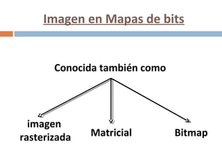 Imagen en Mapas de bits
Conocida también como
imagen
rasterizada BitmapMatricial
 
