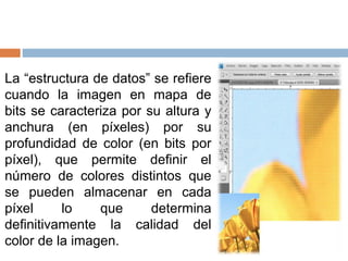 La “estructura de datos” se refiere
cuando la imagen en mapa de
bits se caracteriza por su altura y
anchura (en píxeles) por su
profundidad de color (en bits por
píxel), que permite definir el
número de colores distintos que
se pueden almacenar en cada
píxel lo que determina
definitivamente la calidad del
color de la imagen.
 