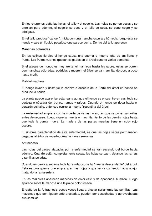 Como desayunar si adelgazas