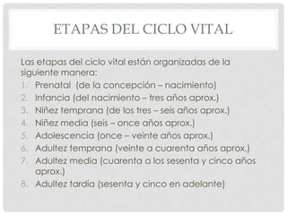 ETAPAS DEL CICLO VITAL
Las etapas del ciclo vital están organizadas de la
siguiente manera:
1. Prenatal (de la concepción – nacimiento)
2. Infancia (del nacimiento – tres años aprox.)
3. Niñez temprana (de los tres – seis años aprox.)
4. Niñez media (seis – once años aprox.)
5. Adolescencia (once – veinte años aprox.)
6. Adultez temprana (veinte a cuarenta años aprox.)
7. Adultez media (cuarenta a los sesenta y cinco años
aprox.)
8. Adultez tardía (sesenta y cinco en adelante)

 