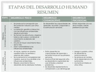ETAPAS DEL DESARROLLO HUMANO
RESUMEN
ETAPA

DESARROLLO FISICO

INFANCIA
(nacimiento a los 3 años)

PRENATAL
(concepción al nacimiento)

•
•
•

•
•
•
•
•

DESARROLLO
COGNOSCITIVO

DESARROLLO
PSICOSOCIAL

Se produce la concepción por
fecundación natural o por otros
medios
La dotación genética interactúa
con las influencias ambientales
desde el principio.
Se forman las estructuras y órganos
básicos del cuerpo; comienza el
crecimiento acelerado del
cerebro.
Ocurre el mayor crecimiento físico
de la vida.
Gran vulnerabilidad a las
influencias ambientales.

Se desarrollan las capacidades de
aprender, recordar y responder a
la estimulación sensorial .

El feto responde a la voz
de la madre y siente
preferencia por ella.

Al nacer, operan en diversa
medida todos los sentidos y
sistemas del cuerpo.
Se incrementa la complejidad del
cerebro, que es muy sensible a las
influencias ambientales.
Rápido crecimiento físico y
desarrollo de las destrezas motores.

• Están presentes las
capacidades de aprender y
recordar incluso en las primeras
semanas.
• Hacia el final del segundo año,
se desarrolla la capacidad de
usar símbolos y resolver
problemas
• Se desarrolla rápidamente la
comprensión y uso del lenguaje

• Apego a padres y otros
• Se desarrolla la
autoconciencia
• Se produce el cambio
de la dependencia a la
autonomía
• Aumenta el interés en
otros niños.

 