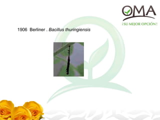 1906 Berliner . Bacillus thuringiensis
 
