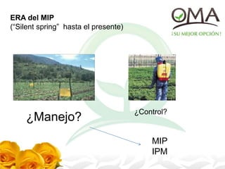 ERA del MIP
(“Silent spring” hasta el presente)
¿Manejo?
¿Control?
MIP
IPM
 