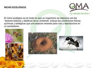 NICHO ECOLÓGICO
El nicho ecológico es el modo en que un organismo se relaciona con los
factores bióticos y abióticos de su ambiente. Incluye las condiciones físicas,
químicas y biológicas que una especie necesita para vivir y reproducirse en
un ecosistema .
 