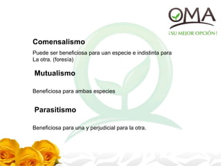 Comensalismo
Puede ser beneficiosa para uan especie e indistinta para
La otra. (foresía)
Mutualismo
Beneficiosa para ambas especies
Parasitismo
Beneficiosa para una y perjudicial para la otra.
 