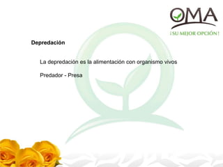 Depredación
La depredación es la alimentación con organismo vivos
Predador - Presa
 