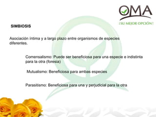 SIMBIOSIS
Asociación íntima y a largo plazo entre organismos de especies
diferentes.
Comensalismo: Puede ser beneficiosa para una especie e indistinta
para la otra (foresia)
Mutualismo: Beneficiosa para ambas especies
Parasitismo: Beneficiosa para una y perjudicial para la otra
 