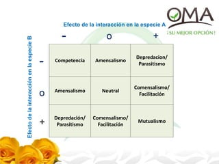 Competencia Amensalismo
Depredacion/
Parasitismo
Amensalismo Neutral
Comensalismo/
Facilitación
Depredación/
Parasitismo
Comensalismo/
Facilitación
Mutualismo
Efecto de la interacción en la especie A
EfectodelainteracciónenlaespecieB
+
+o
o
-
-
 