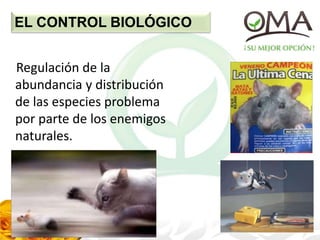 EL CONTROL BIOLÓGICO
Regulación de la
abundancia y distribución
de las especies problema
por parte de los enemigos
naturales.
 