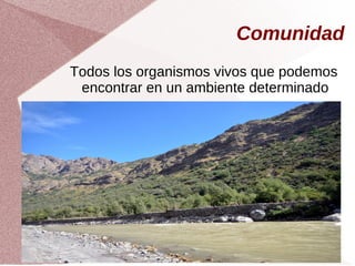 Comunidad
Todos los organismos vivos que podemos
encontrar en un ambiente determinado
 