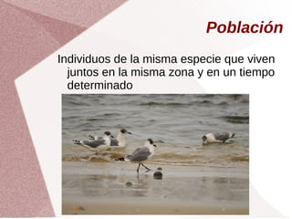 Población
Individuos de la misma especie que viven
juntos en la misma zona y en un tiempo
determinado
 
