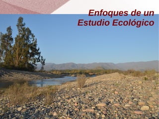 Enfoques de un
Estudio Ecológico
 