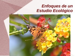 Enfoques de un
Estudio Ecológico
Escala
 