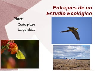 Enfoques de un
Estudio Ecológico
Plazo
Corto plazo
Largo plazo
 